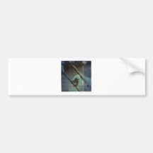 Winter Berries Bumper Stickers