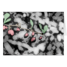 Winter Berries Card