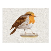 Winter Bird Pocket Size Calendar Postcard