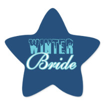 Winter Bride Wedding