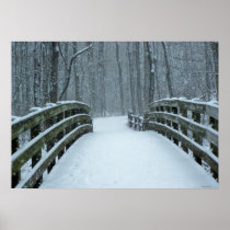 Winter Bridge Print