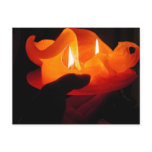 Winter candle Photo: Colette CHG postcards