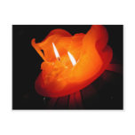 Winter candle Photo Colette postcards