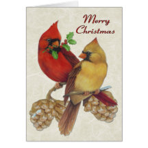 Winter Cardinals