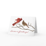 Winter Cardinals Christmas Holiday Card