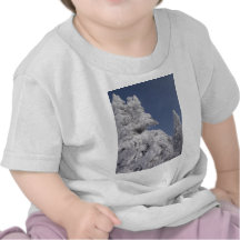 Winter Christmas Trees Shirt