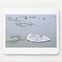 winter - danube river in frosty day mousepad