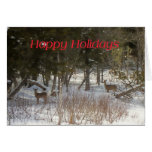 Winter Deer Card