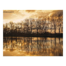 Winter dusk invitations