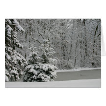 Winter Evergreens Notecard