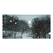 Winter Flakes Customized Photo Card
