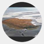 Winter Flock of Spectacled Eiders Sticker