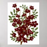 Winter Flowers Print