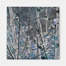 Winter Forest Magnets