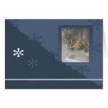WINTER FUN GREETING CARDS
