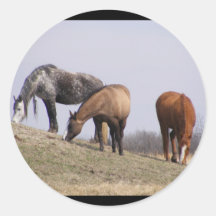 Winter Grazing Stickers