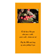 winter greeting card, red berries picture card