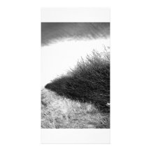 Winter Hedge Row in Yorkshire Personalized Photo Card
