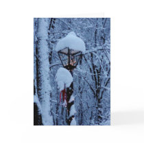 Winter Holiday Card: "Magic Lamp Post"