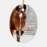 Winter Horse Christmas Ornaments