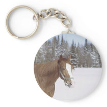 Winter Horse