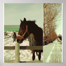 Winter Horses dyptich Poster