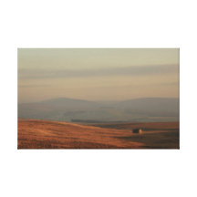 Winter Hue Canvas Print