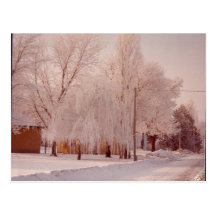 Winter Ice Postcard