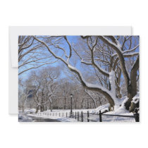 Winter in Central Park, New York City Personalized Invites