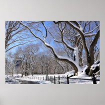 Winter in Central Park, New York City Posters