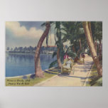 Winter in Florida, 1908 Poster
