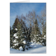 Winter In Maine Greeting Cards