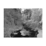 Winter In New England postcards
