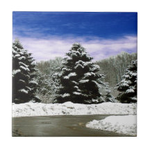 Winter in New England Tiles
