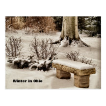 Winter in Ohio Post Card