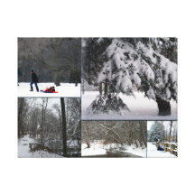 "Winter In The Park" Collage Canvas Prints