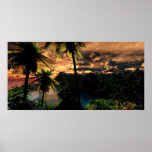 Winter In The Tropics - Extreme