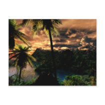 Winter In The Tropics Postcard