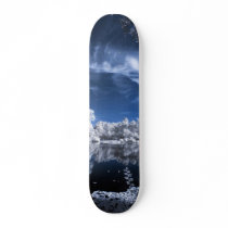 winter lake scene skate board