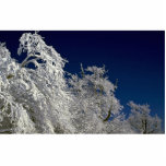 Winter landscape, New England, U.S.A. Winter photo sculptures