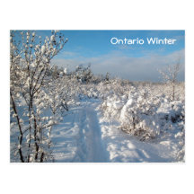 Winter Landscape - Postcard