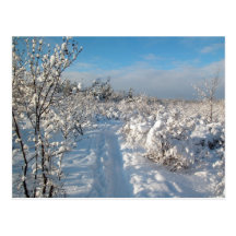 Winter Landscape - Postcard