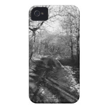 Winter Lane iPhone 4 Case-Mate Case