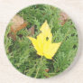 Winter leaves drink coasters