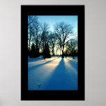 Winter Lines posters