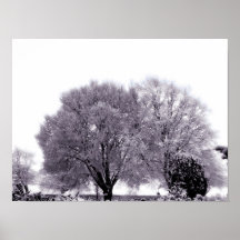 Winter Love Poster