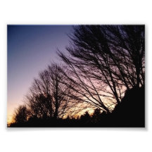 winter morning photograph
