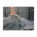 Winter Morning Sunshine Photography Postcard