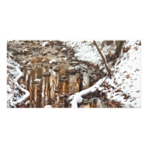 Winter - Natures Harmony Photo Card Template