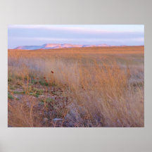 winter on the high plains print